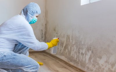 How do I test my house for mold? 