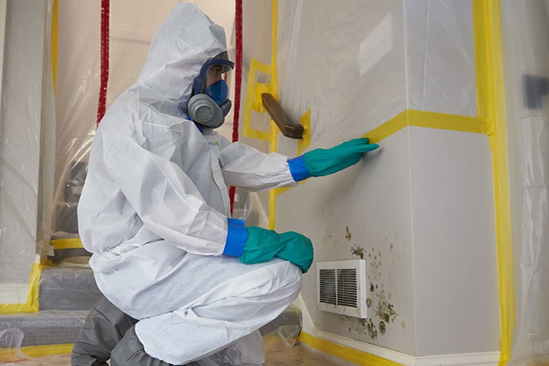What does mold remediation entail? 