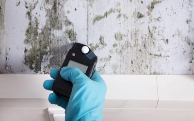 How to get your home tested for mold