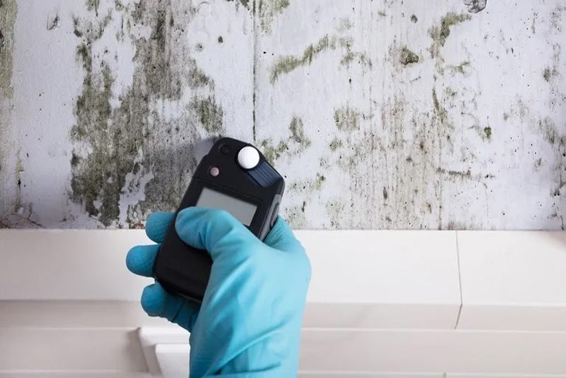 How to get your home tested for mold