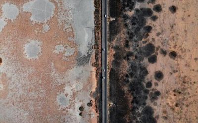 How to tell if you have mold in your walls 