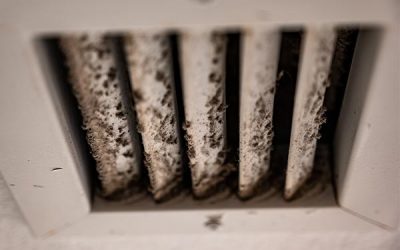How can you tell if you have mold in your air ducts?