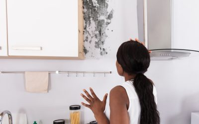 How to Test for Black Mold: 28 Expert Tips to Protect Yourself and Your Home