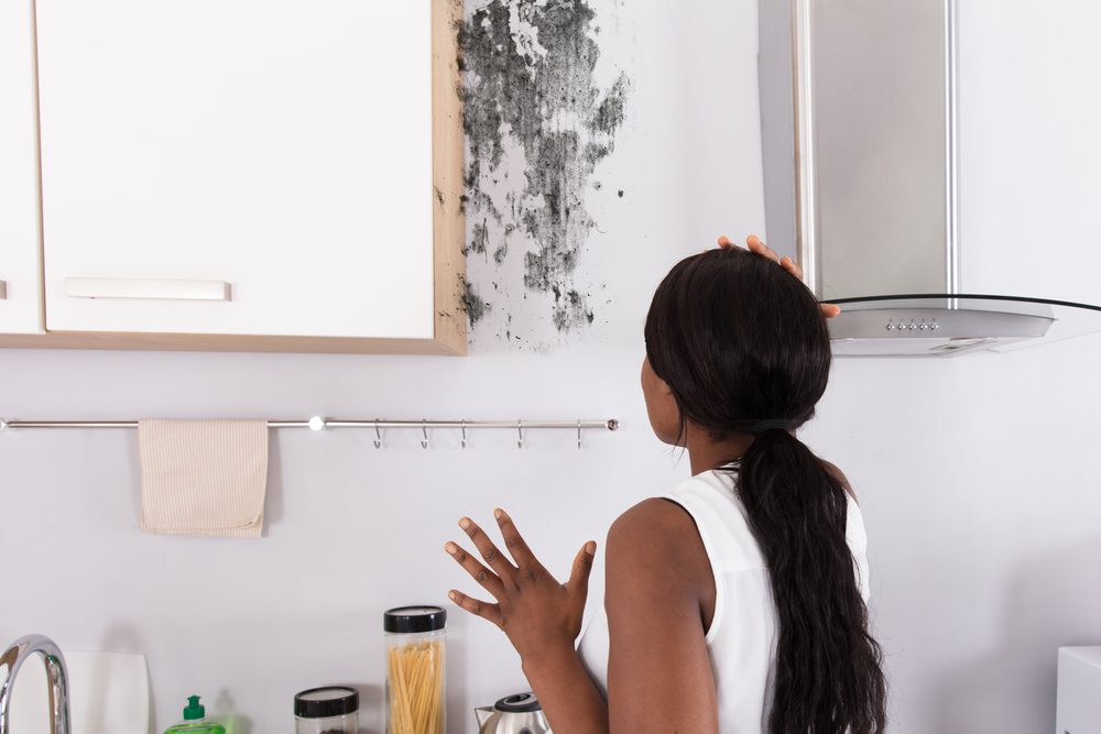 How to Test for Black Mold: 28 Expert Tips to Protect Yourself and Your Home